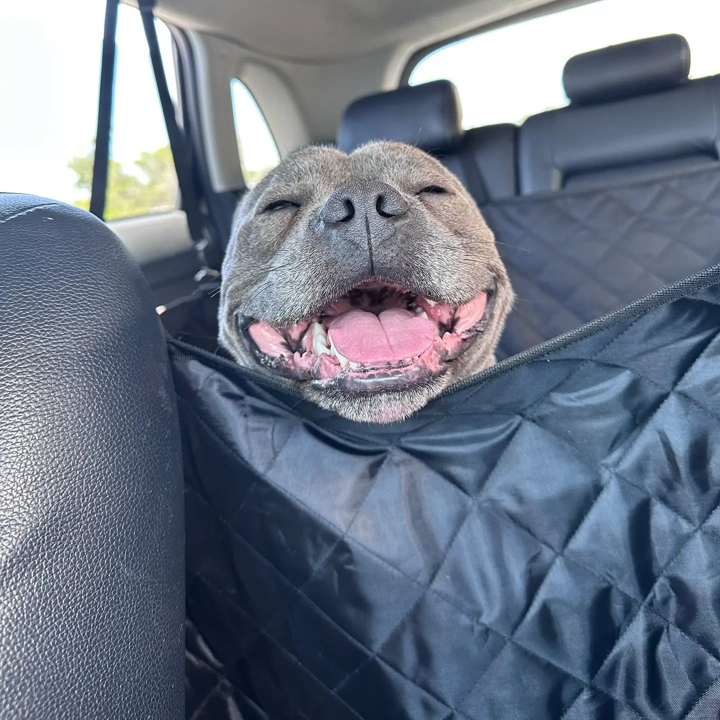 Dog Car Seat Cover product image 3
