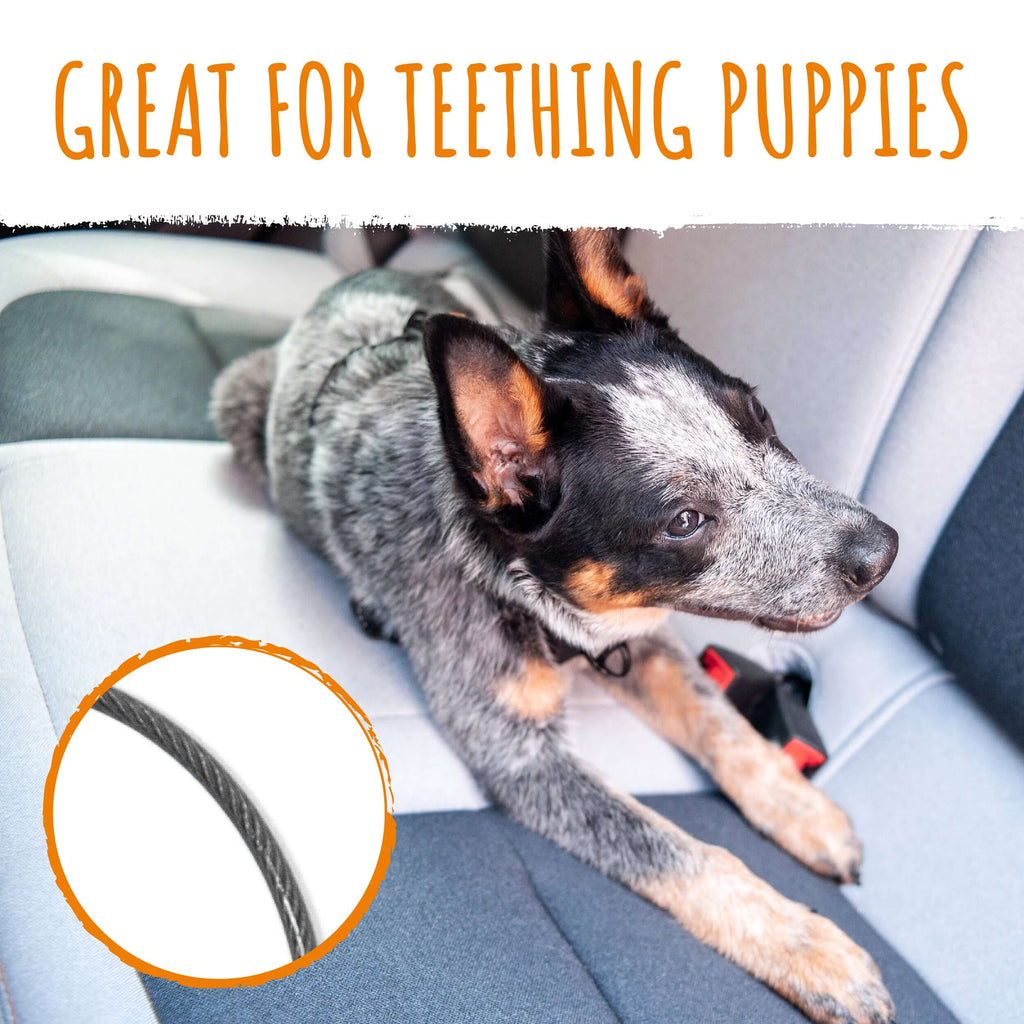 Dog Car Safety Belt product image 3