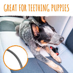 Dog Car Safety Belt product image 3