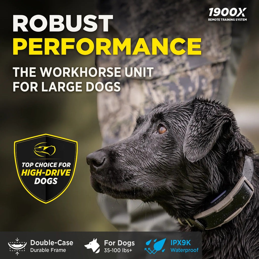 Remote Dog Training Collar product image 3