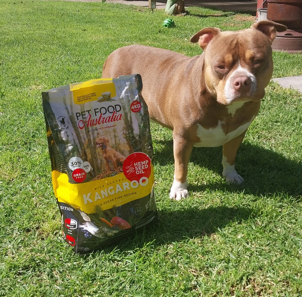 Kangaroo and Ocean Fish Dry Dog Food product image 3