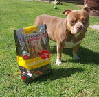 Kangaroo and Ocean Fish Dry Dog Food product image 3