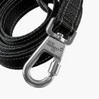 Dog Leash product image 3