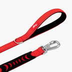 Bungee Dog Leash product image 3