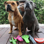 Dog Chew Toy product image 3