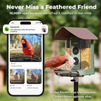 Smart Bird Feeder product image 3
