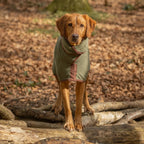 Dog Drying Coat product image 3