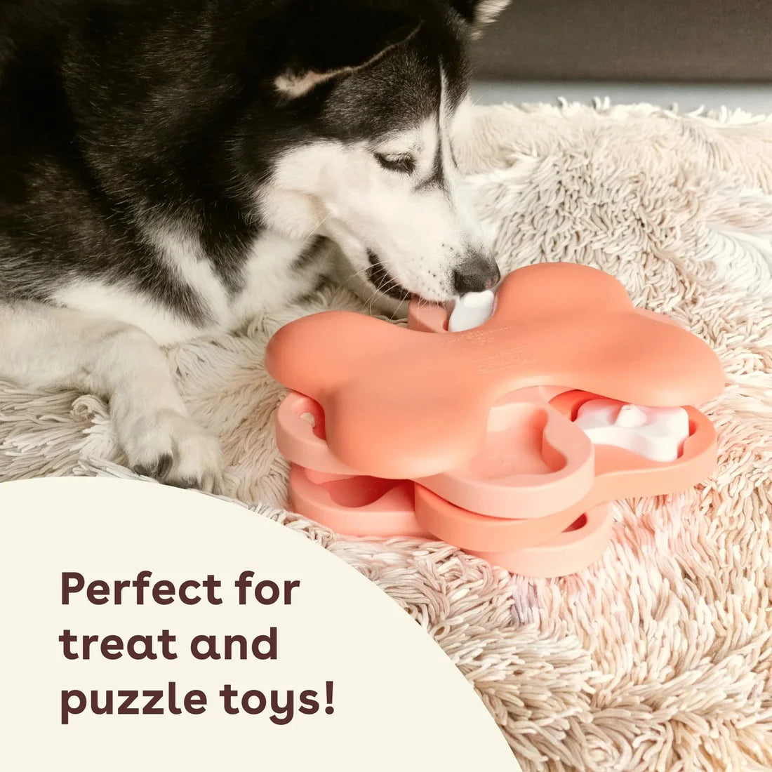 Dog Training Treats product image 3