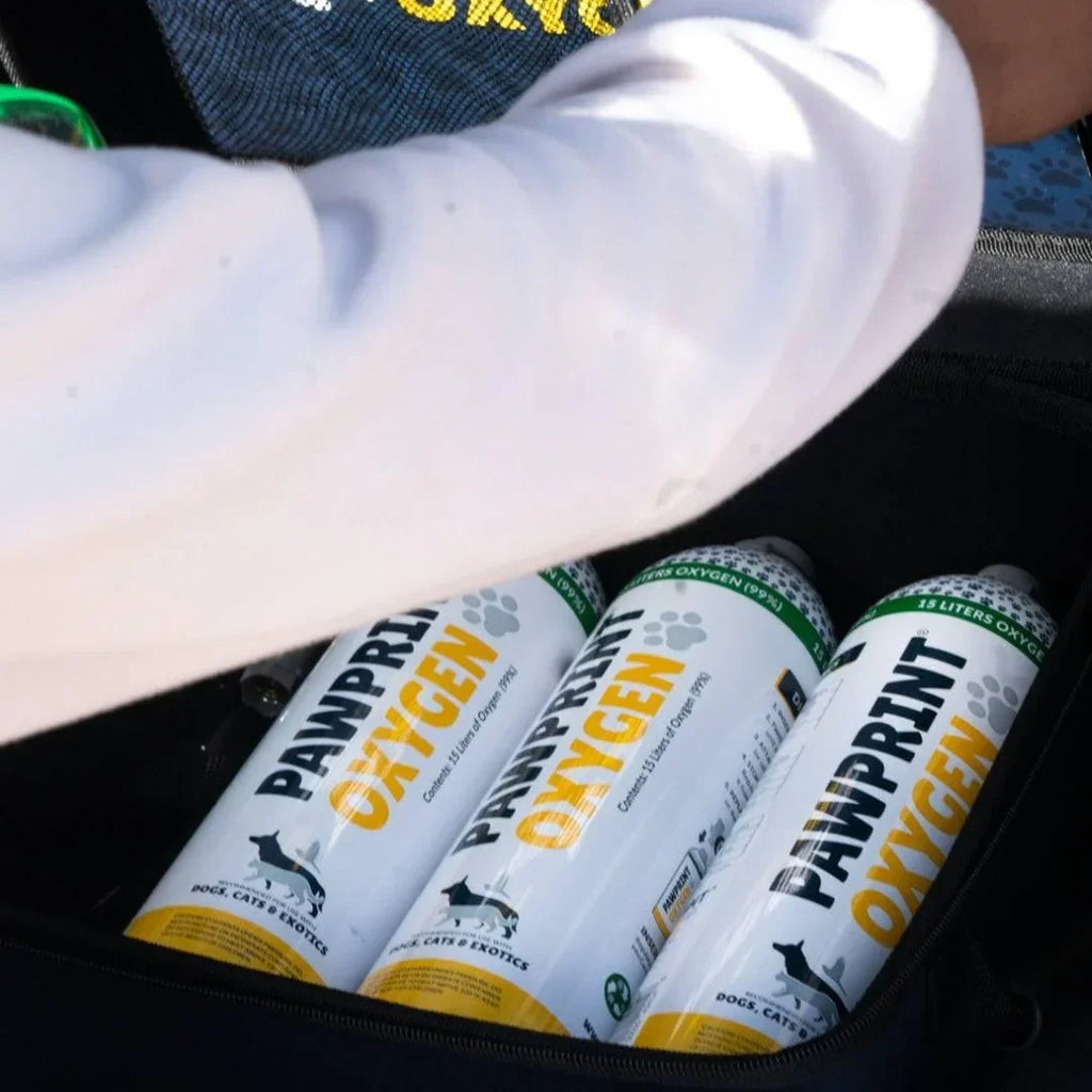 Pet Oxygen Canisters product image 3