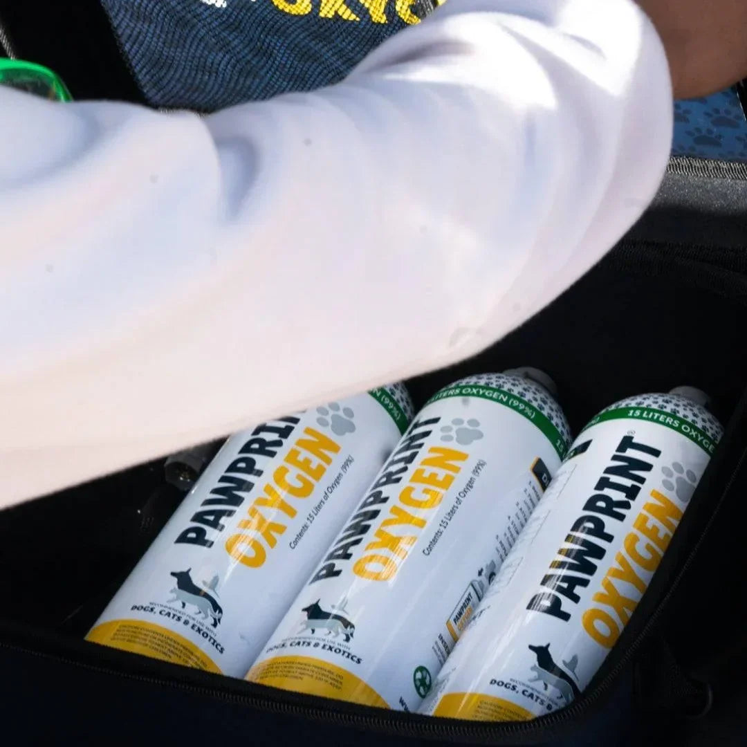 Pet Oxygen Canisters product image 3