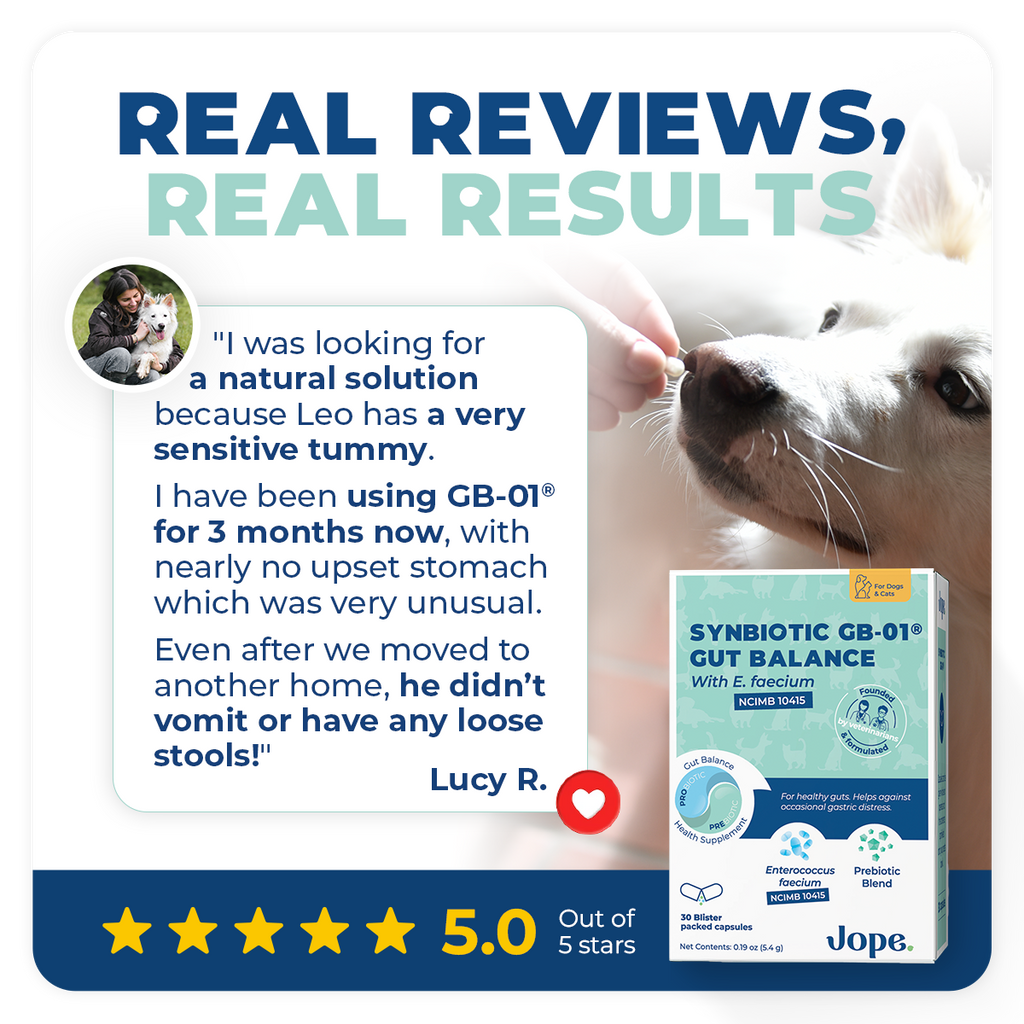 Dog and Cat Probiotic product image 3