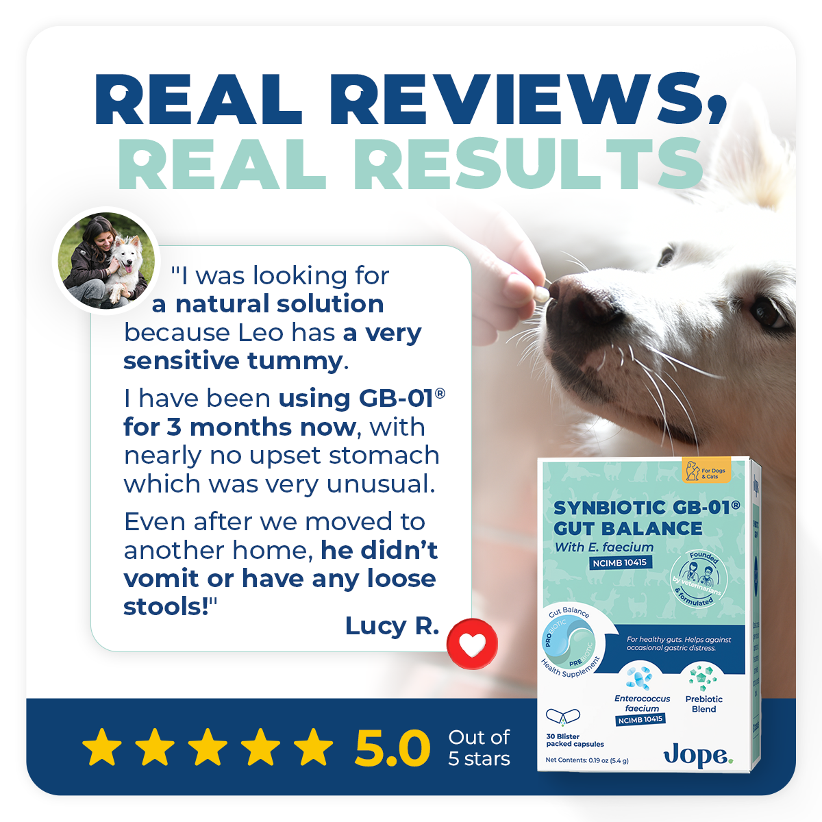 Dog and Cat Probiotic product image 3