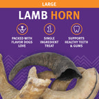 Large Lamb Horn Dog Chew product image 3