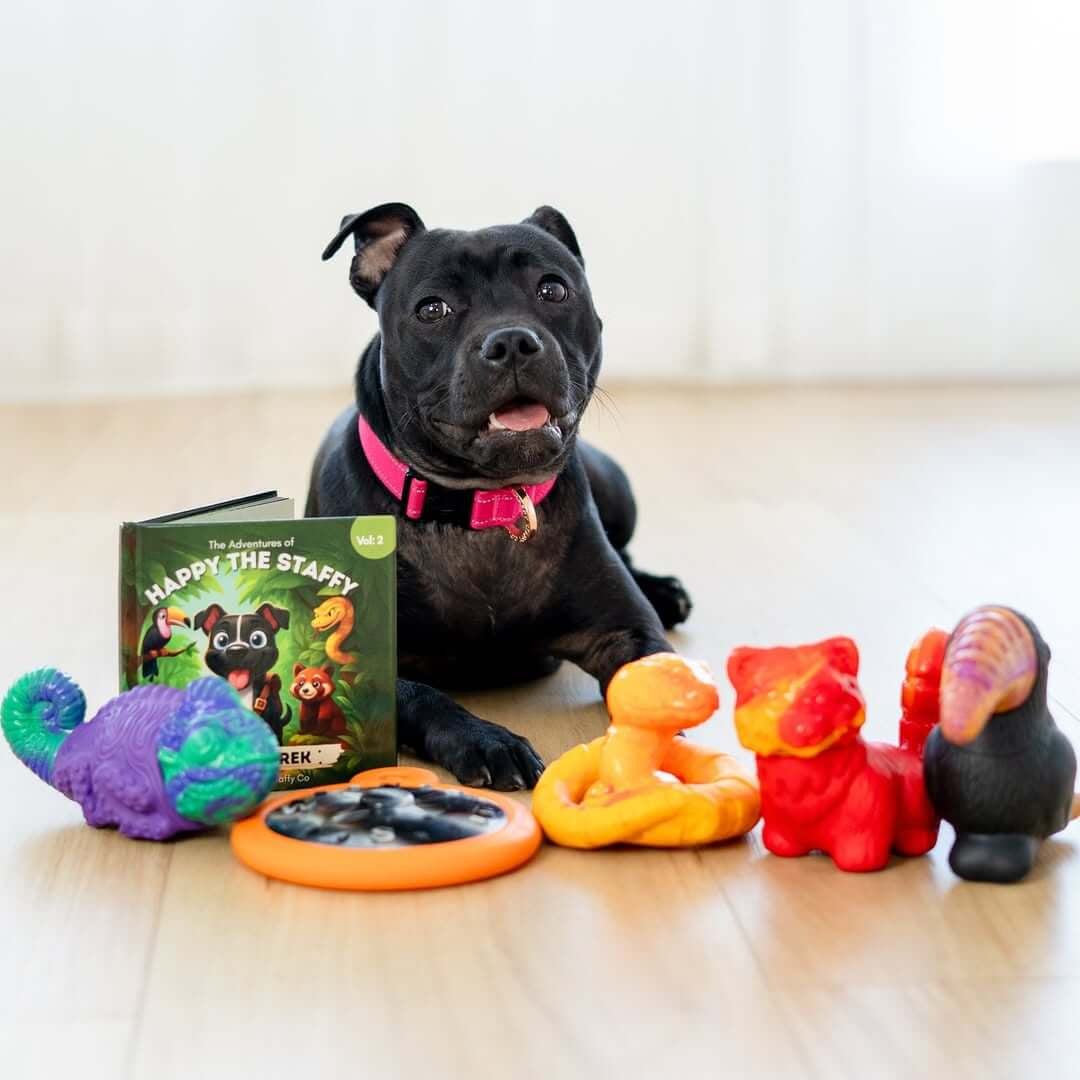 Dog Toy Collection product image 3