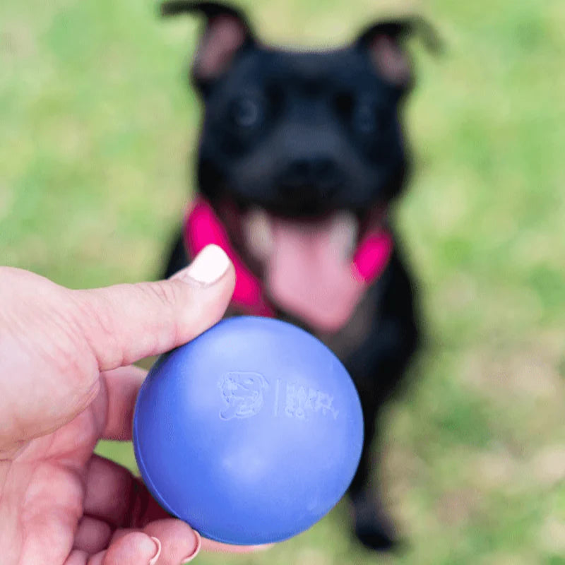 Dog Fetch Ball product image 3