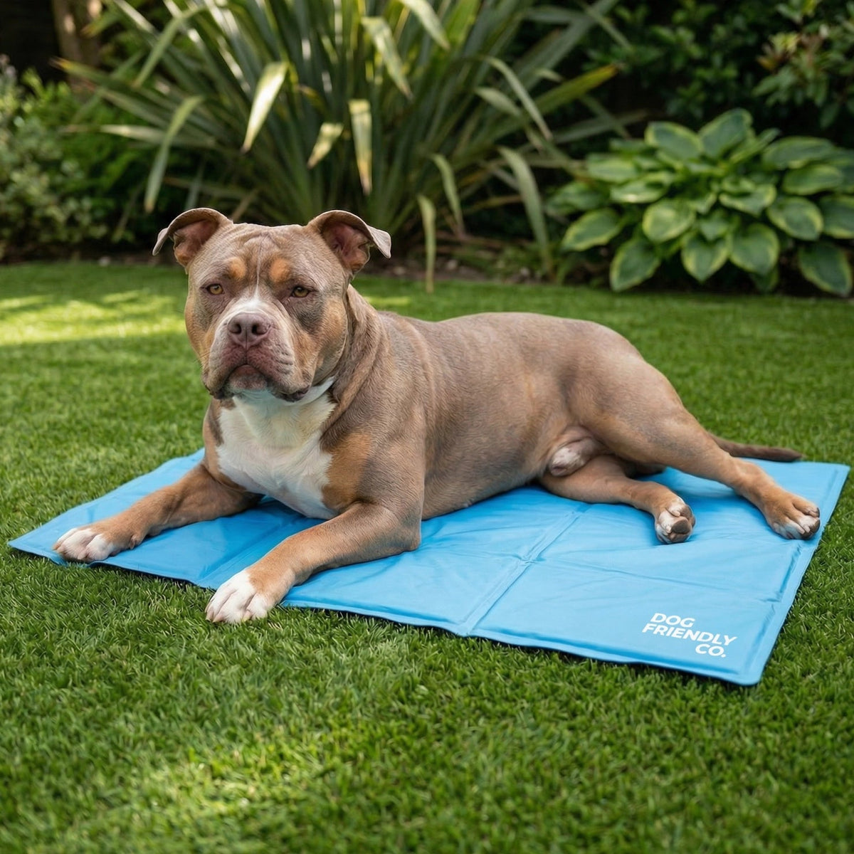 Dog Cooling Mat product image 3