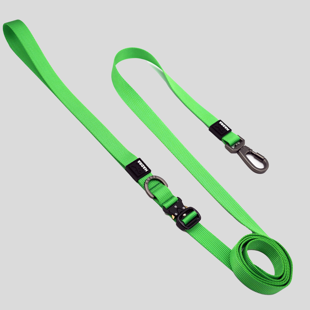 Adjustable Hands-Free Dog Leash product image 3