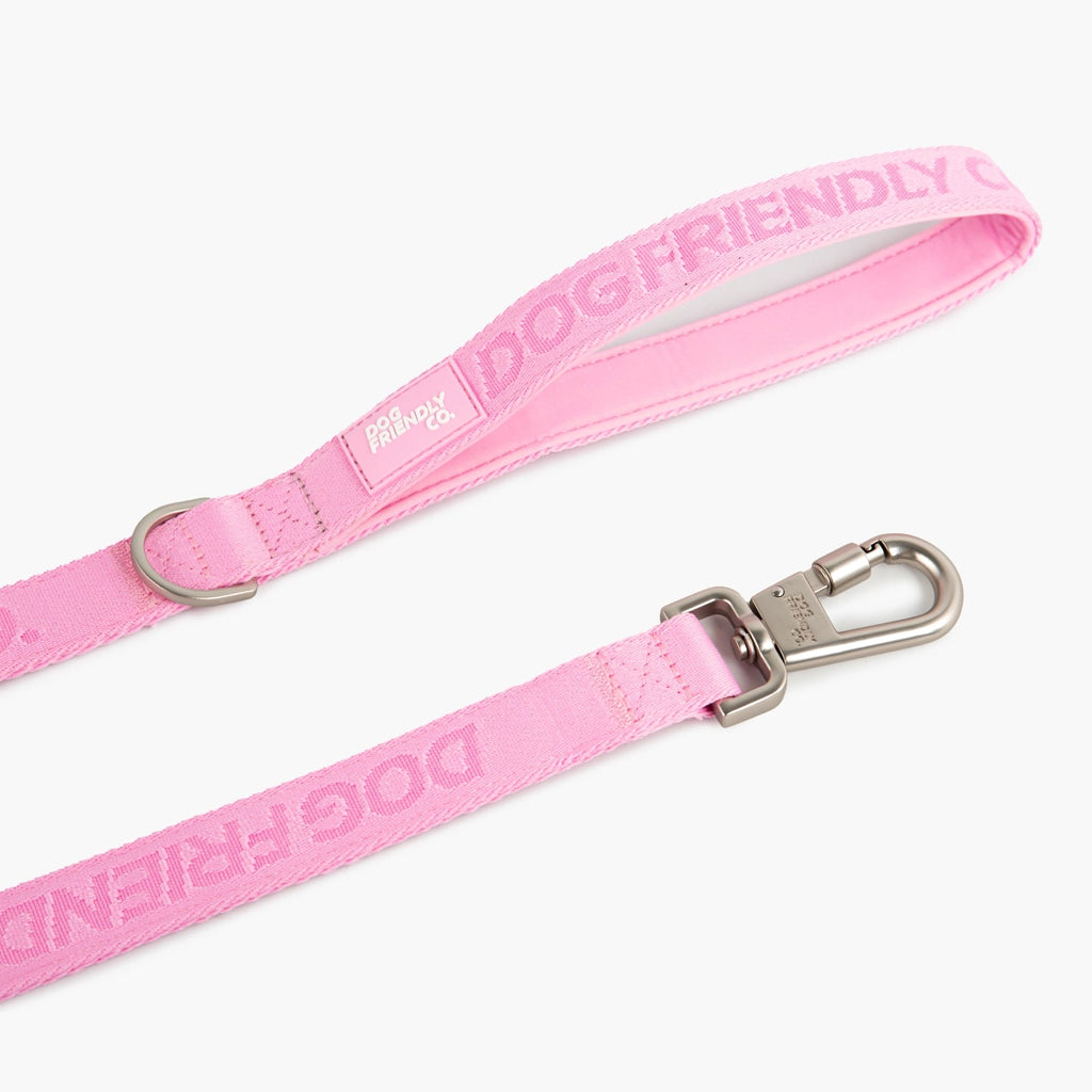 Long Dog Leash product image 3