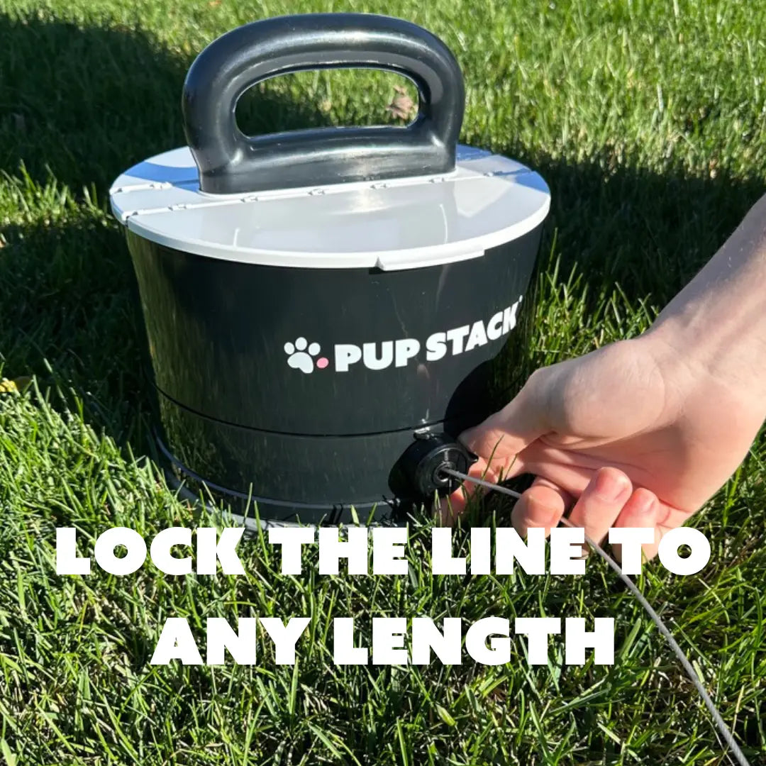 Dog Tie-Out Anchor product image 3