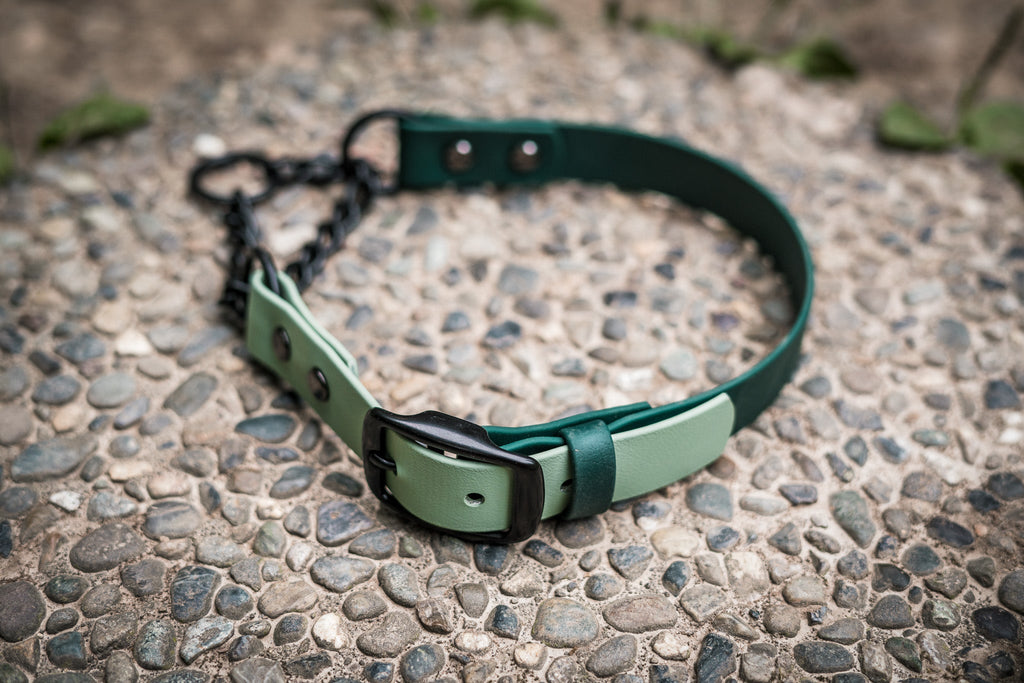 Martingale Dog Collar product image 3