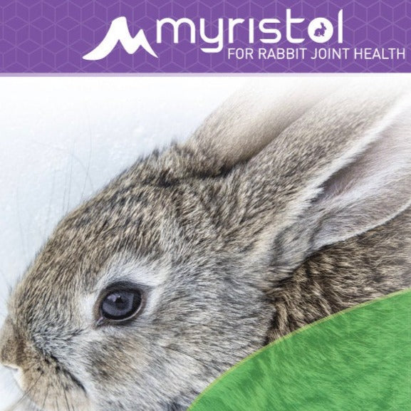 Rabbit Joint Supplement product image 3