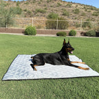 Waterproof Dog Blanket product image 3