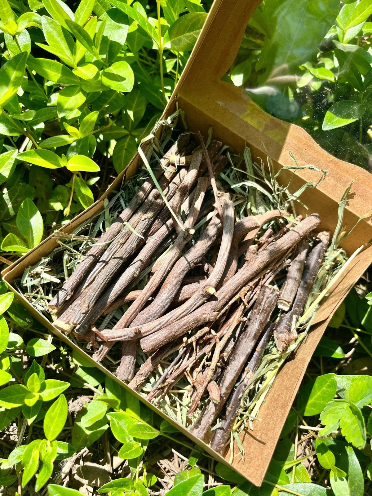 Rabbit Chew Sticks product image 3