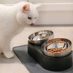 Elevated Stainless Steel Cat Bowl Double