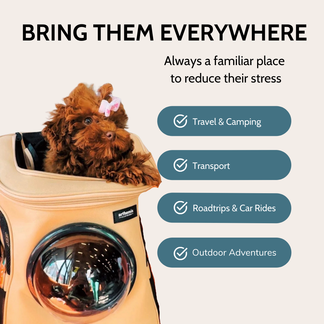 Large Pet Backpack Carrier product image 3