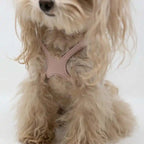 Dog Harness product image 3