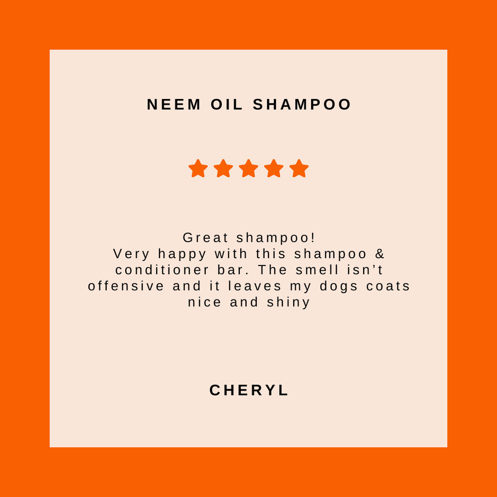 Dog Shampoo Bar product image 3