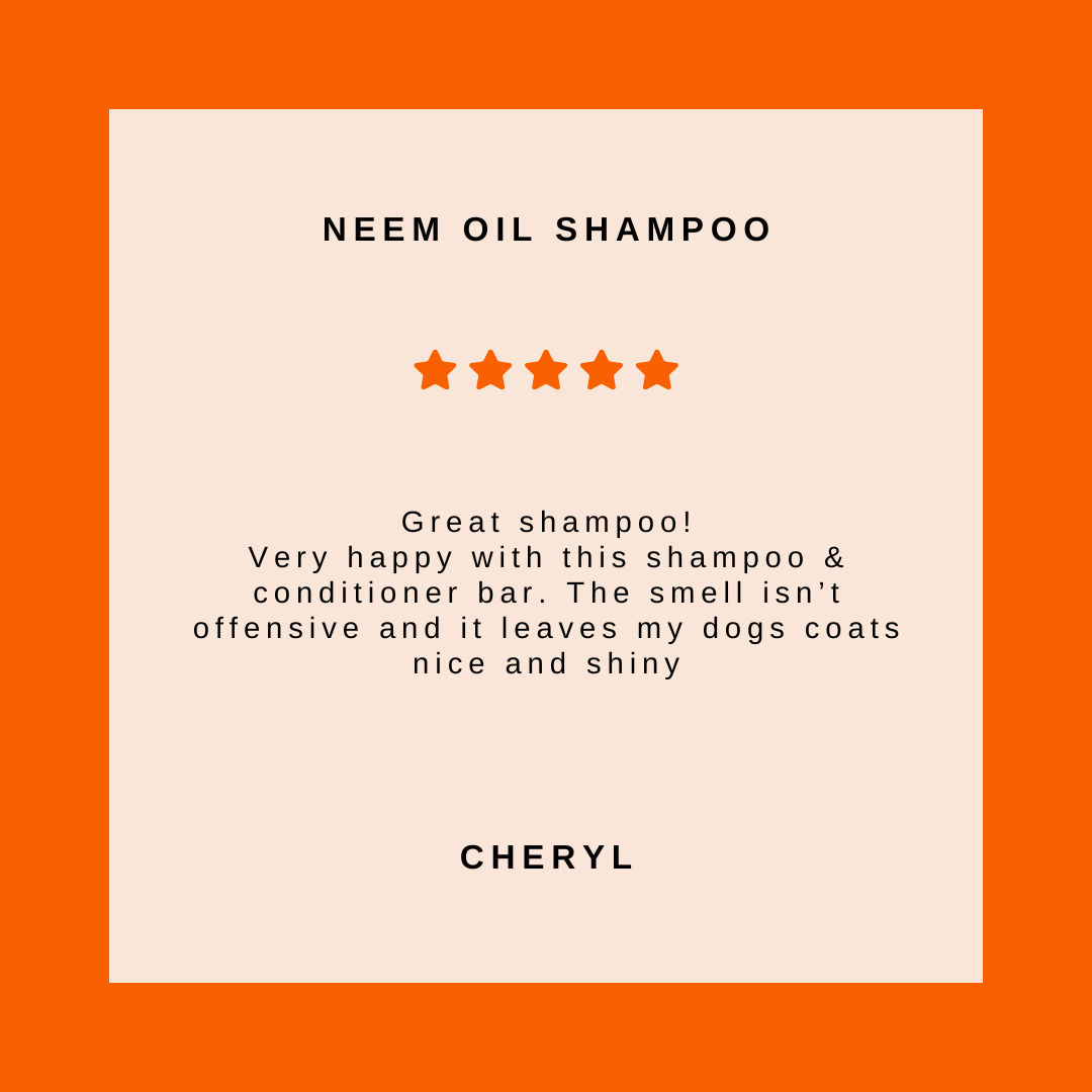 Dog Shampoo Bar product image 3