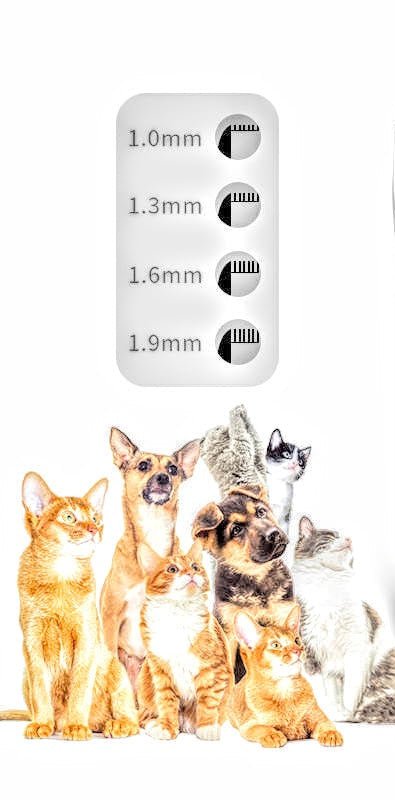 Cordless Pet Grooming Detail Trimmer product image 3