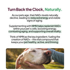 Dog Joint Supplement product image 3