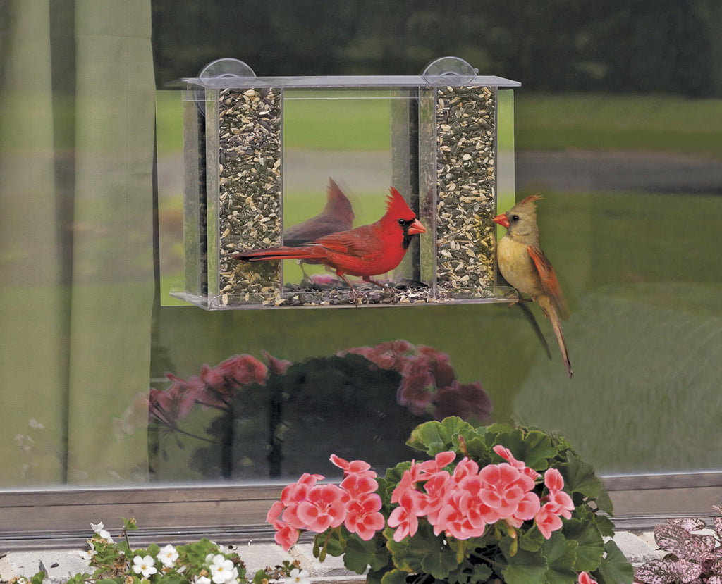 Window Bird Feeder product image 3