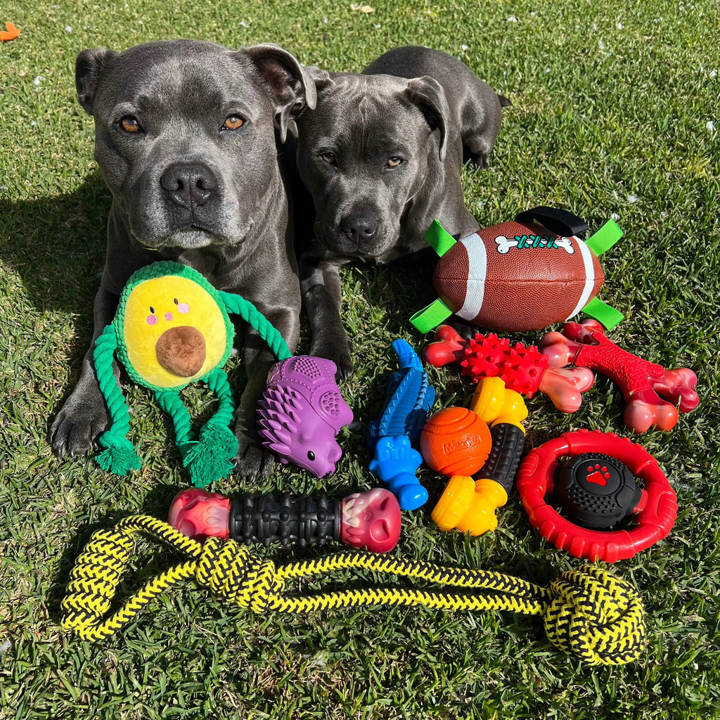 Dog Chew Toy product image 3