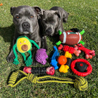 Dog Chew Toy product image 3