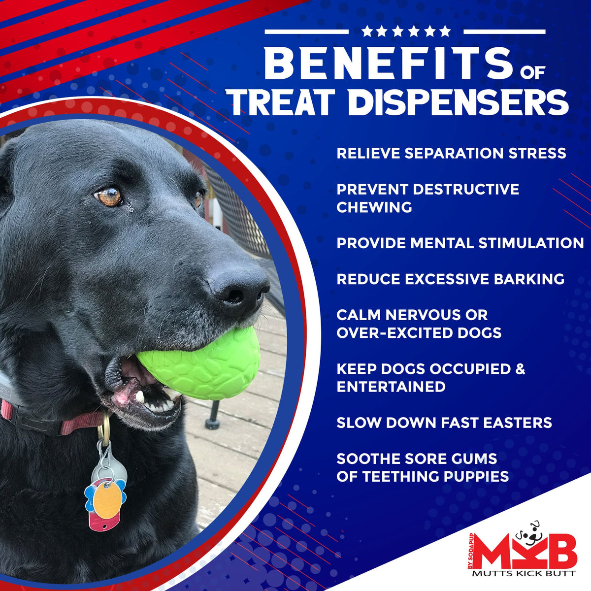 Dog Treat Dispenser product image 3