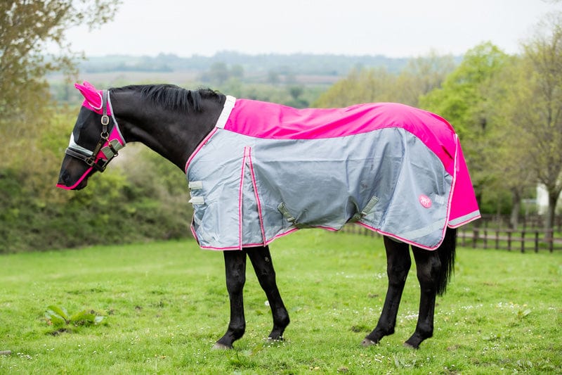 Horse Fly Mask product image 3