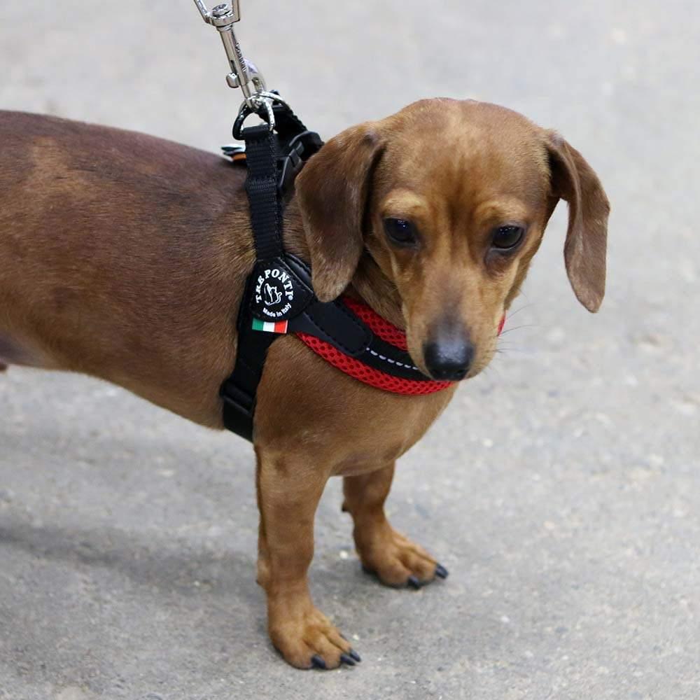 Adjustable Mesh Dog Harness for Small to Medium Pets, Reflective Step-In Design Across Seven Chest Sizes source image 4