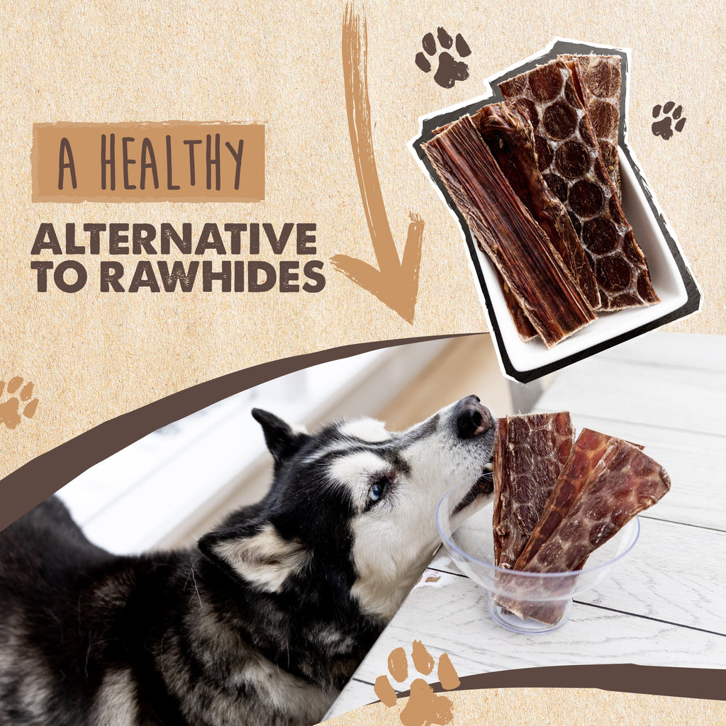 Beef Gullet Jerky Dog Treats, Slow-Dried Single-Ingredient 14 oz Chews for Everyday Rewards source image 4