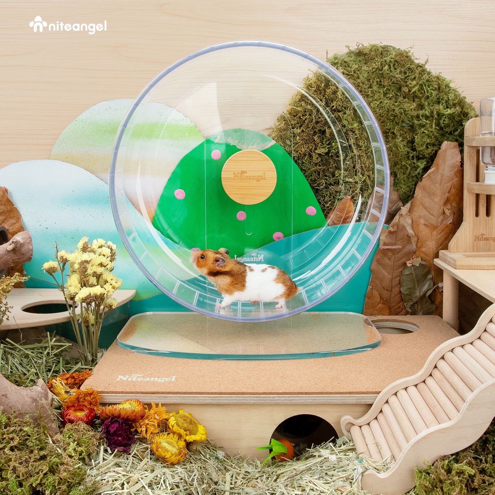 Super-Silent Hamster Exercise Wheel with Adjustable Height and Dual-Bearing Spinner in Four Sizes source image 4