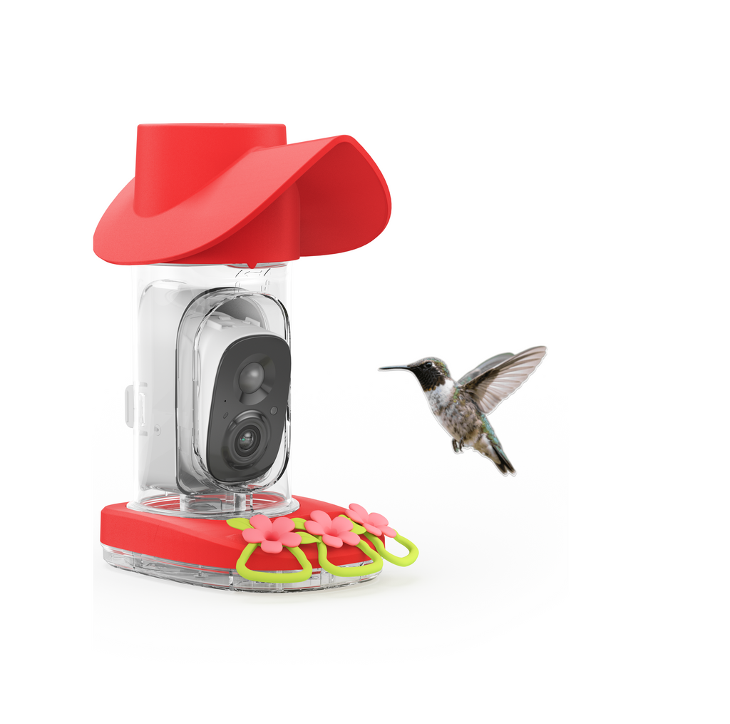 Smart Solar Hummingbird Feeder Camera, 2K Video Monitoring, Leak-Resistant Seal and Instant Visit Alerts source image 4