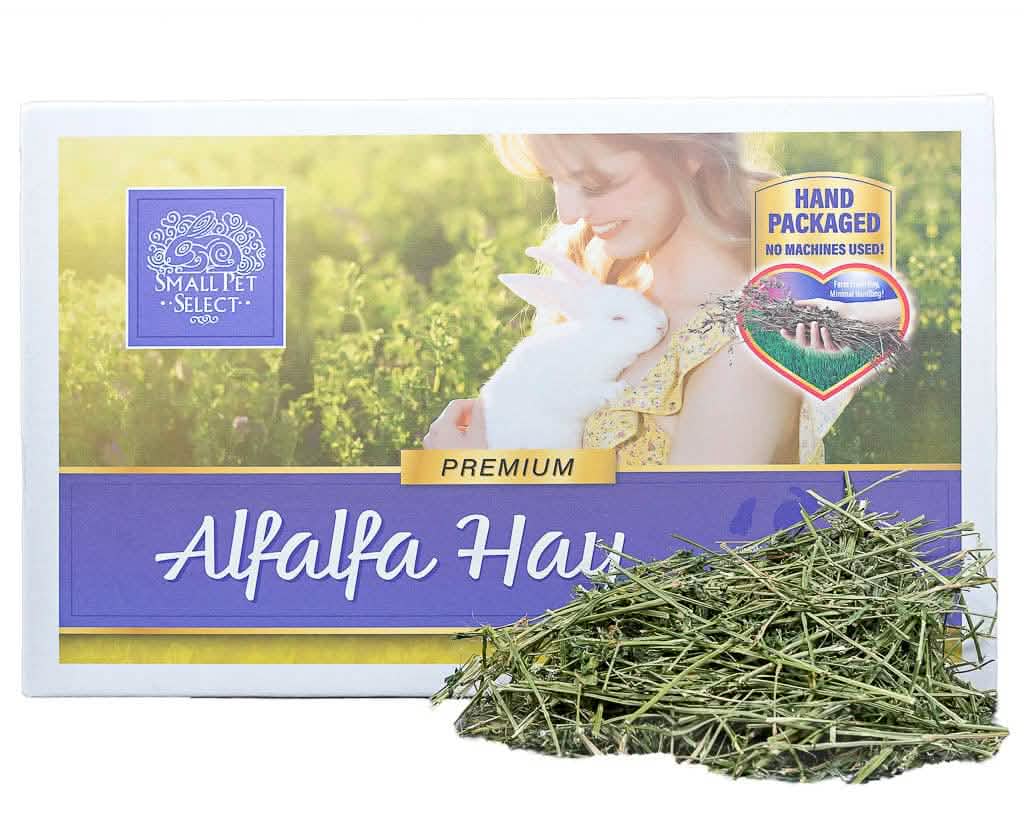 Long-Strand Alfalfa Hay for Young Rabbits and Small Pets, Hand-Packed in 2, 5, 10 or 20 lb Boxes product image 4