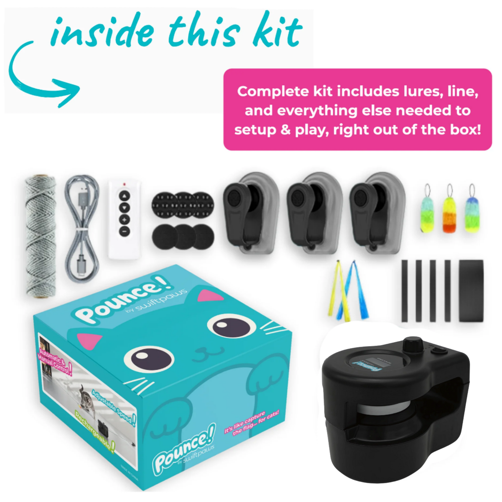 Indoor Pet Lure Course for Cats and Small Dogs, Automatic 10-Minute Play, USB-C Power and Magnetic Pulleys source image 4