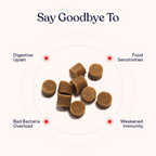 Daily Probiotic and Multivitamin Chews for Dogs, Easy Chew Format for Everyday Wellness Support product image 4