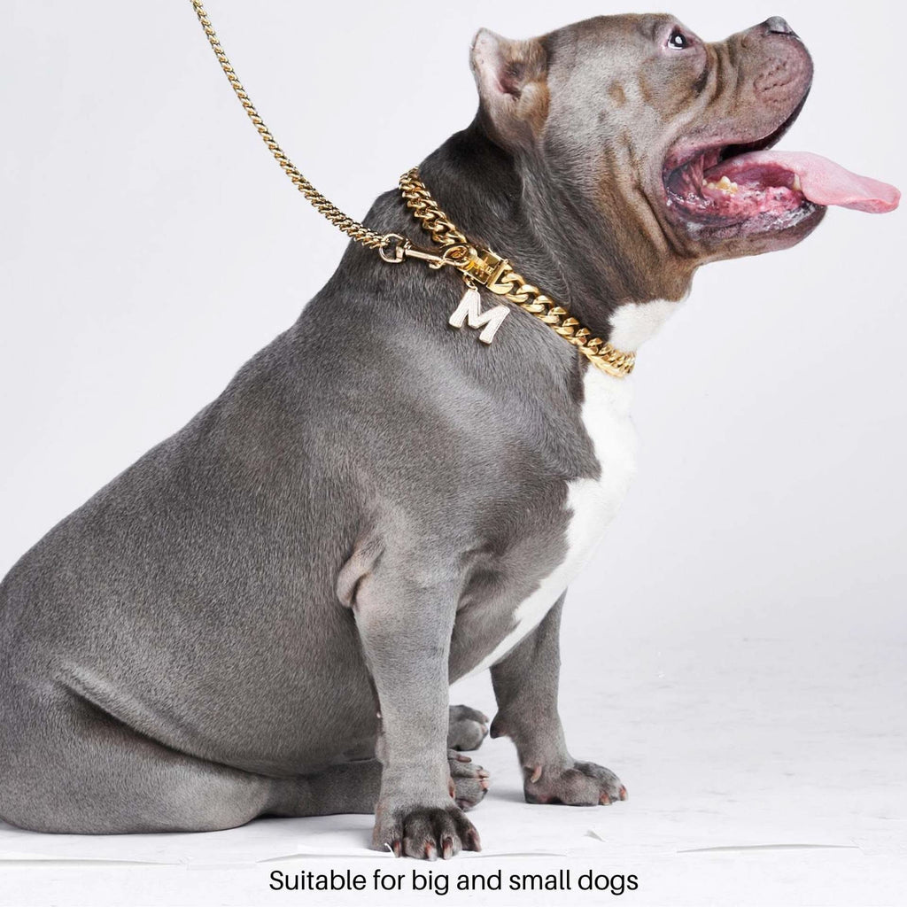 Gold Cuban Link Dog Collar in Nine Lengths from 9.8 to 25.6 Inches for a Bold Everyday Look product image 4