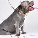 Gold Cuban Link Dog Collar in Nine Lengths from 9.8 to 25.6 Inches for a Bold Everyday Look product image 4