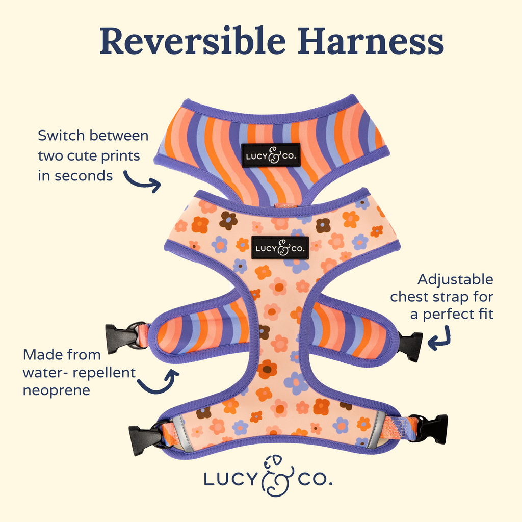 Reversible Floral Dog Harness in Water-Repellent Neoprene, Flexible Everyday Fit from XS to XL source image 4