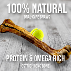Ostrich Long Bone Dog Chew, Oversized 19 x 3.5 Inch Treat for Medium, Large and Extra-Large Dogs source image 4